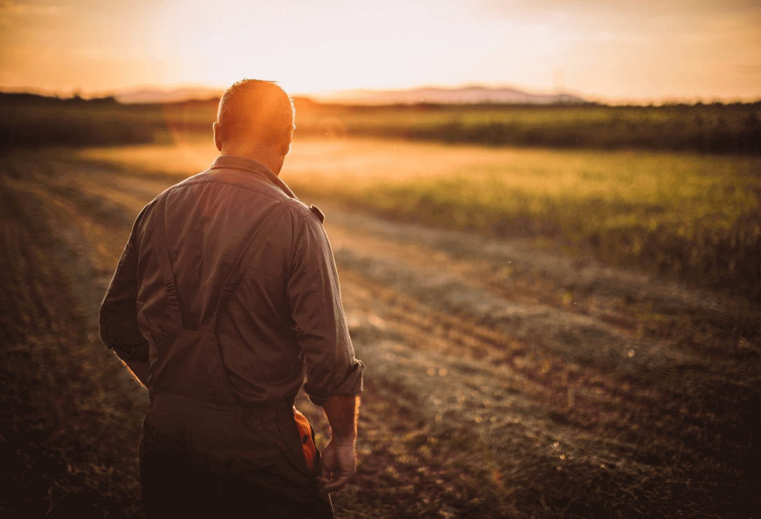 Zachód słońca nad zaoranym polem. Tyłem stoi rolnik który zamierza wydzierżawić swoje grunty pod budowę farmy fotowoltaicznej