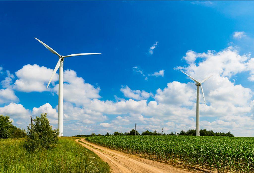 Na polu stoi farma wiatrowa składająca się z dwóch dużych białych wiatraków. Pomiędzy nimi bliżej wiatraka z lewej strony przebiega polna droga. Błękitne niebo pełne jest białych obłoczków. Pole obsiane jest ziemniakami.