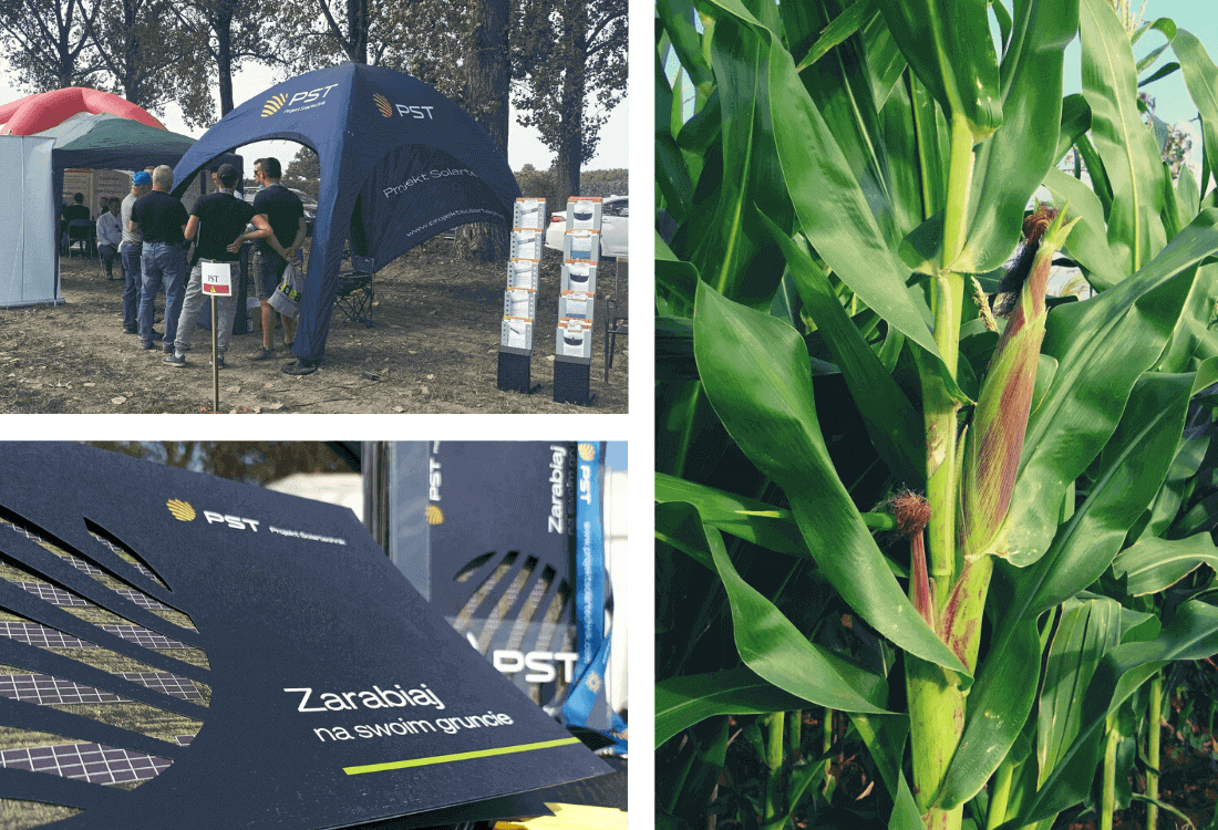 kolaż 3 zdjęć przedstawiających obchody święta kukurydzy, na którym swoje stoisko wystawiało Projekt Solartechnik. Na zdjęciach kukurydza w kolbie rosnąca na polu, stoisko granatowe, na którym odbywają się rozmowy z partnerami agri oraz materiały promocyjne katalogi i ulotki